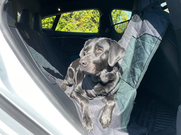 Hundedecke für die Rückbank - Universalgröße mit Labrador Retriver - E-Mobility Shop